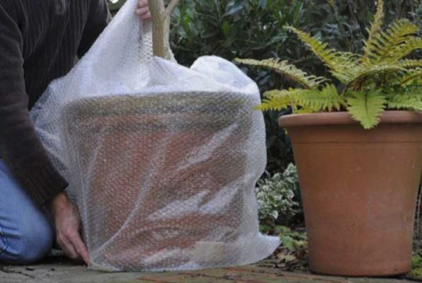 کیسه فریزر برای محافظت از گیاهان در زمستان