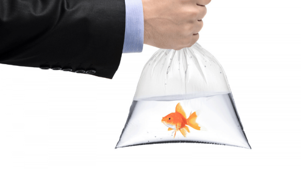 مزایا استفاده از کیسه فریزر ضخیم