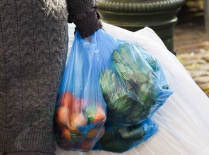 شرکت تولیدی نایلون دسته دار