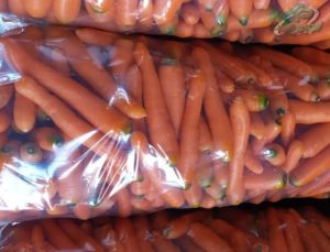 مرکز فروش نایلون خیاری