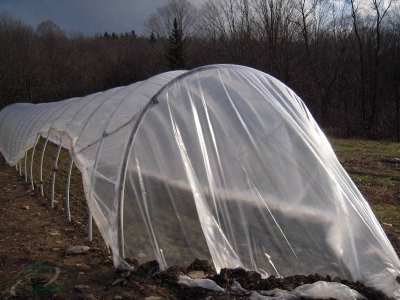 خرید و قیمت نایلون عریض