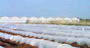 قیمت نایلون کشاورزی