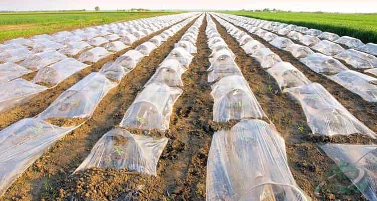 قیمت نایلون کشاورزی