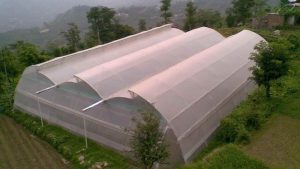 قیمت نایلون گلخانه