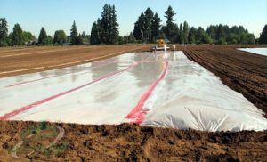 قیمت خرید نایلون عرض ۷۰