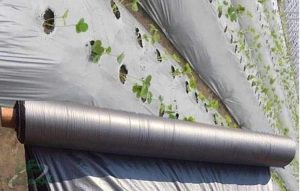 قیمت خرید نایلون عرض ۷۰