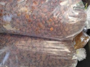 خرید پلاستیک خیاری