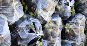 خرید پلاستیک خیاری