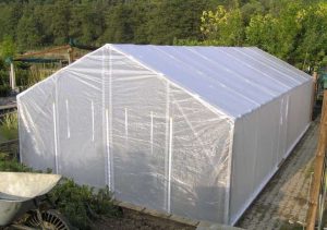 قیمت نایلون متری