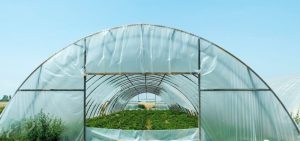 قیمت پلاستیک متری