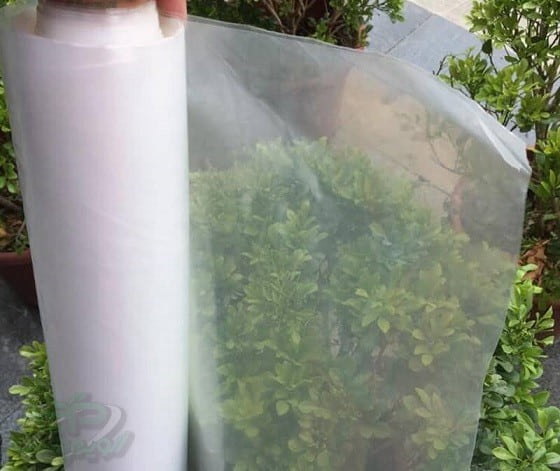 قیمت کاور پلاستیکی گیاه و بوته