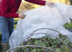 قیمت کاور پلاستیکی گیاه و بوته