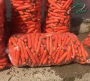 خرید نایلون خیاری