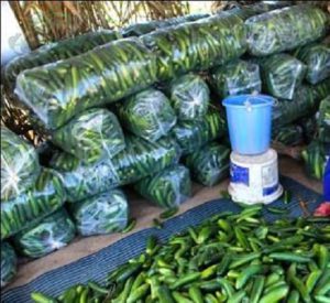 قیمت نایلون بسته بندی میوه