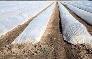 قیمت رول پلاستیک کشاورزی