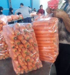 قیمت پلاستیک خیاری