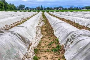 قیمت پلاستیک عرض ۱