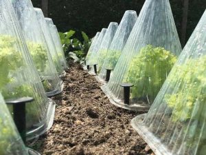 قیمت پلاستیک عرض ۱