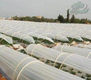 قیمت پلاستیک کشاورزی