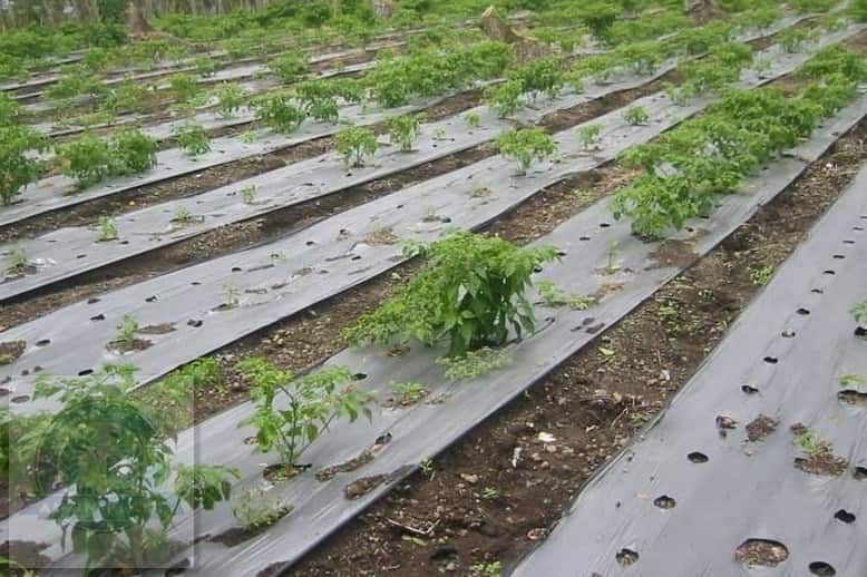 قم بشراء النايلون لفة واسعة