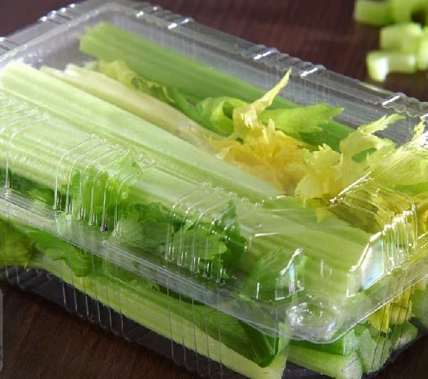 قیمت لانچ باکس